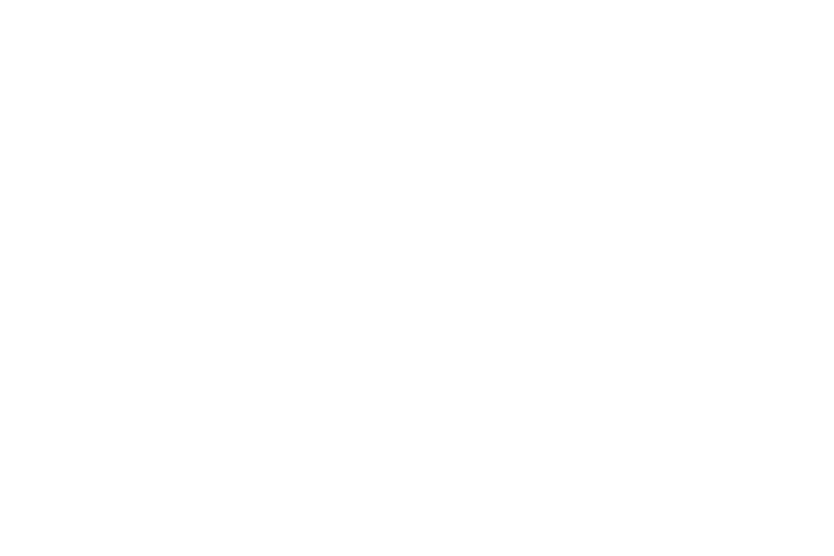 Fox Fox